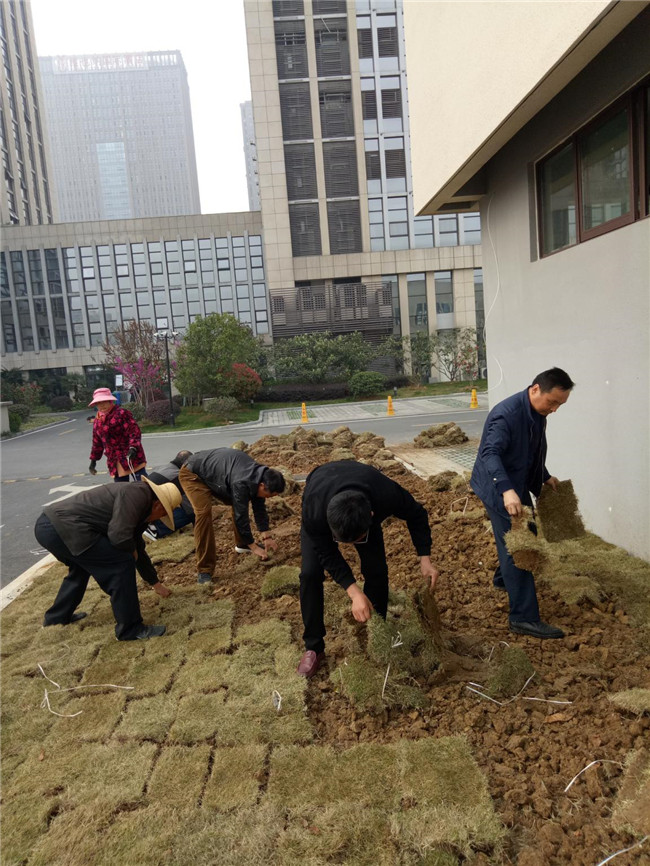 九游会老哥必备的交流社区_论坛帖吧