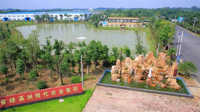 九游会老哥必备的交流社区_论坛帖吧