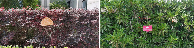 九游会老哥必备的交流社区_论坛帖吧