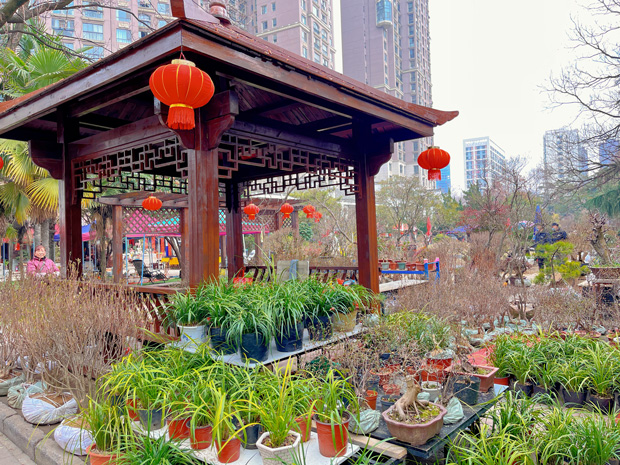 九游会老哥必备的交流社区_论坛帖吧