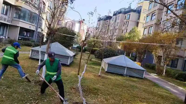 九游会老哥必备的交流社区_论坛帖吧