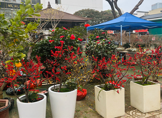 九游会老哥必备的交流社区_论坛帖吧