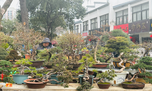 九游会老哥必备的交流社区_论坛帖吧