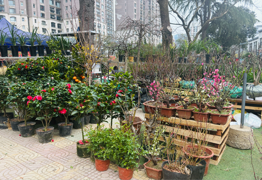 九游会老哥必备的交流社区_论坛帖吧